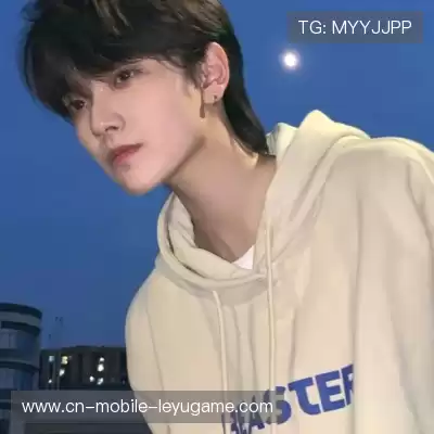 羿垚崇